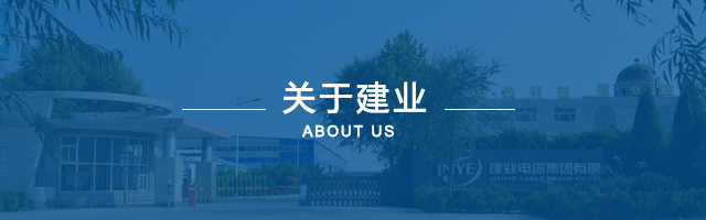 企业使命-快盈VIII