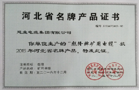 2009-快盈VIII