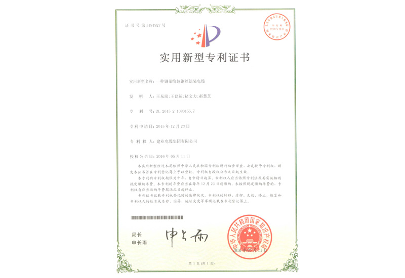 专利证书-快盈VIII