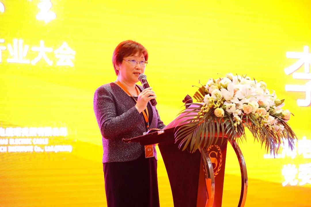 大咖云集共话线缆行业生长 2020年中国电线电缆行业大会在沪召开-快盈VIII