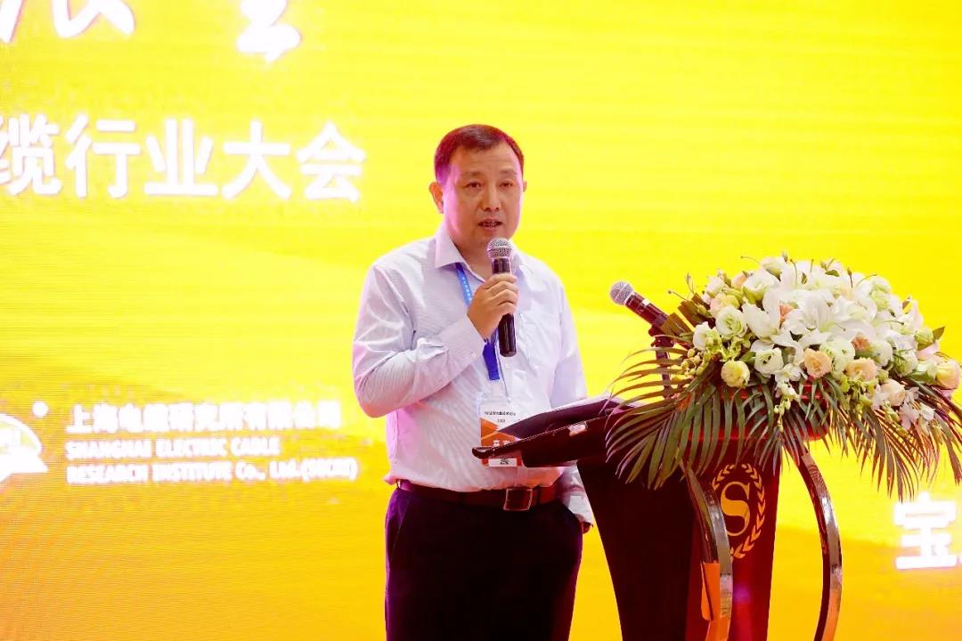 大咖云集共话线缆行业生长 2020年中国电线电缆行业大会在沪召开-快盈VIII