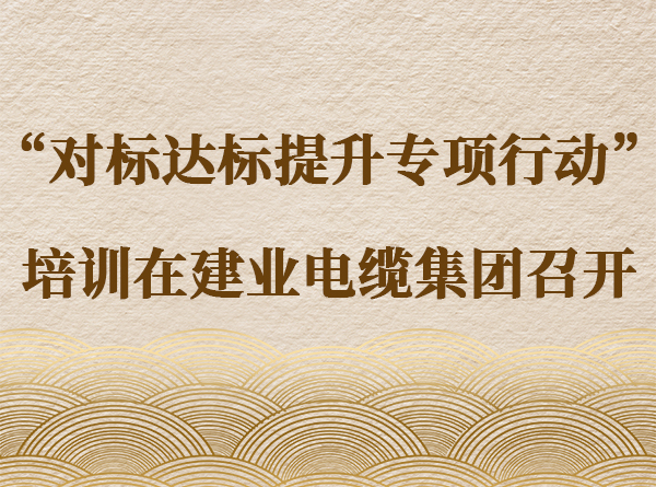 公司新闻-快盈VIII