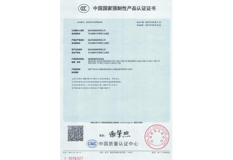强制性产品认证证书-快盈VIII