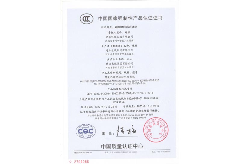 强制性产品认证证书-快盈VIII