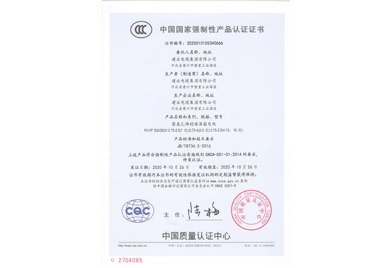 强制性产品认证证书-快盈VIII